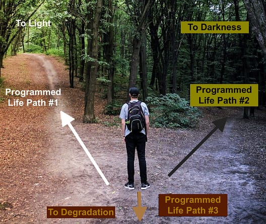 Programmed Life-Paths